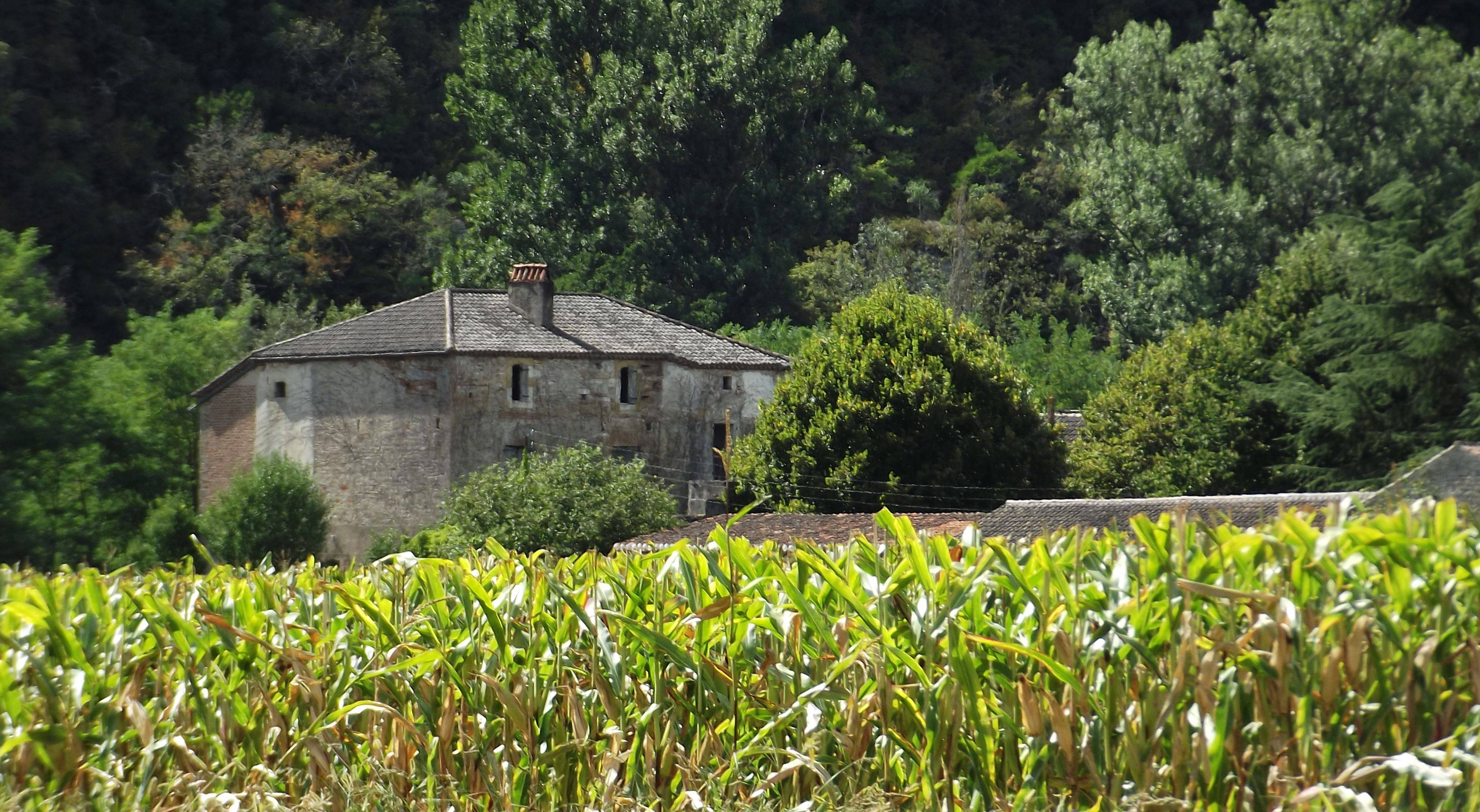 Photo de Château du Méouré