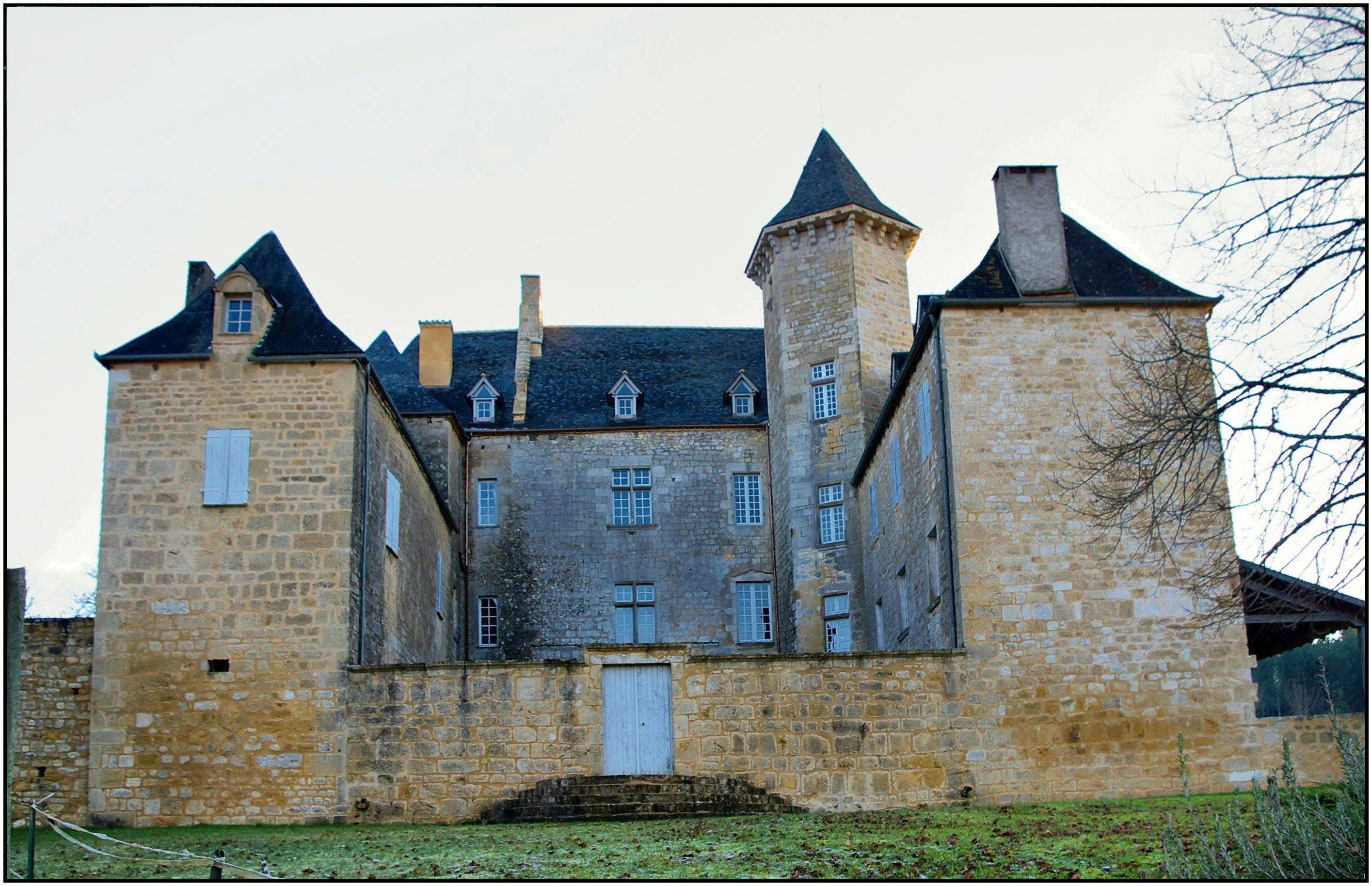 Photo de Château de Nadaillac-de-Rouge