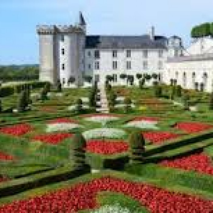 Photo de Château de Villandry