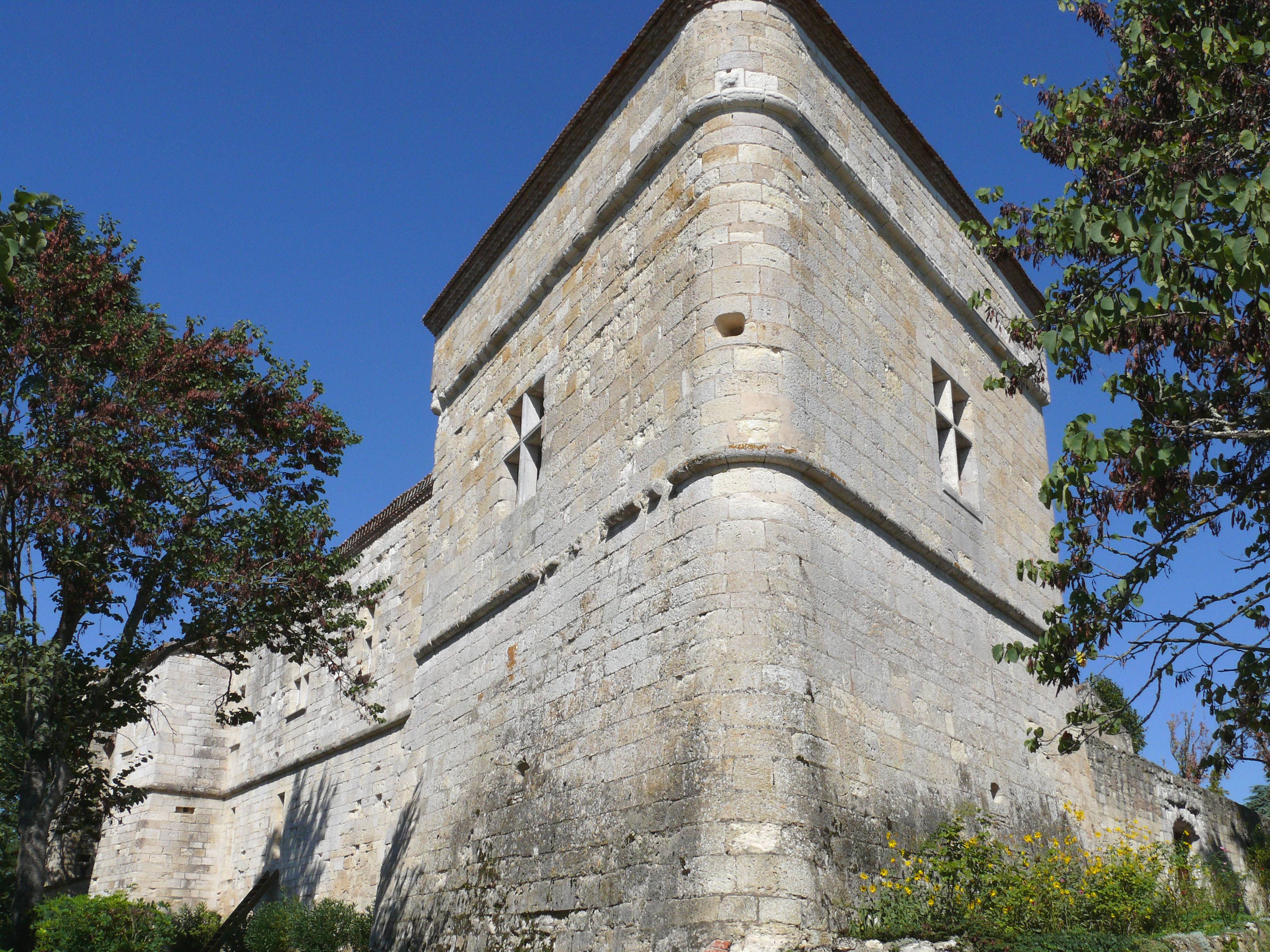 Photo de Château de Montluc
