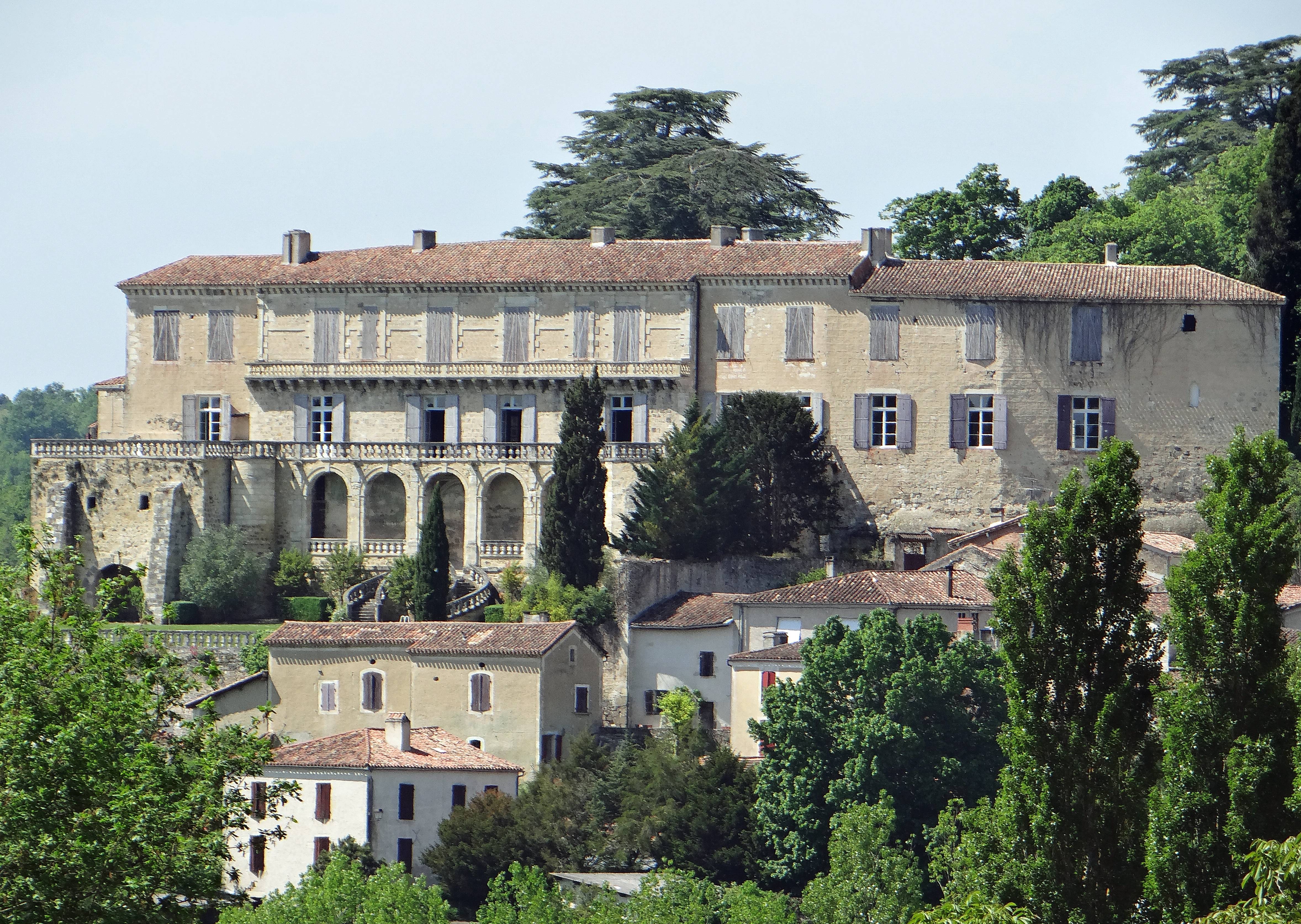 Photo de Château de Poudenas