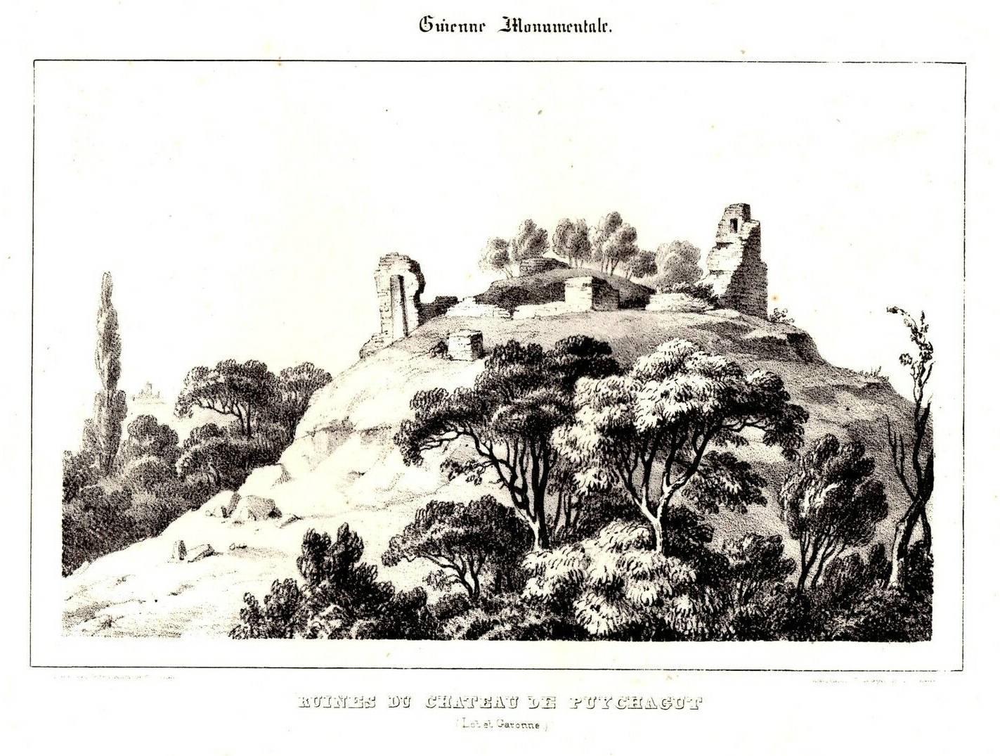 Photo de Château de Puychagut