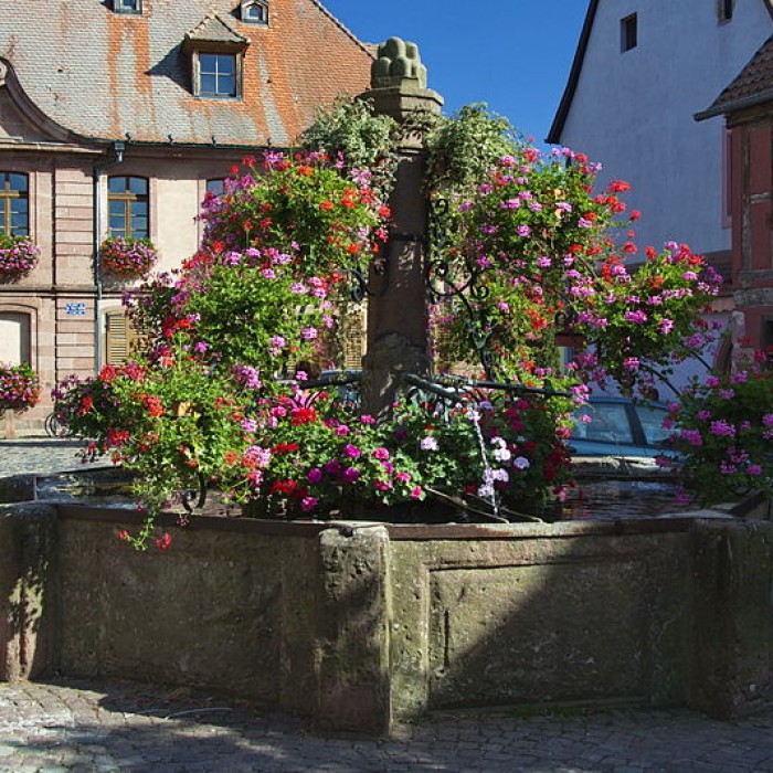 Photo de Fontaine de Bergheim