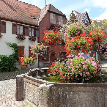 Fontaine de Bergheim