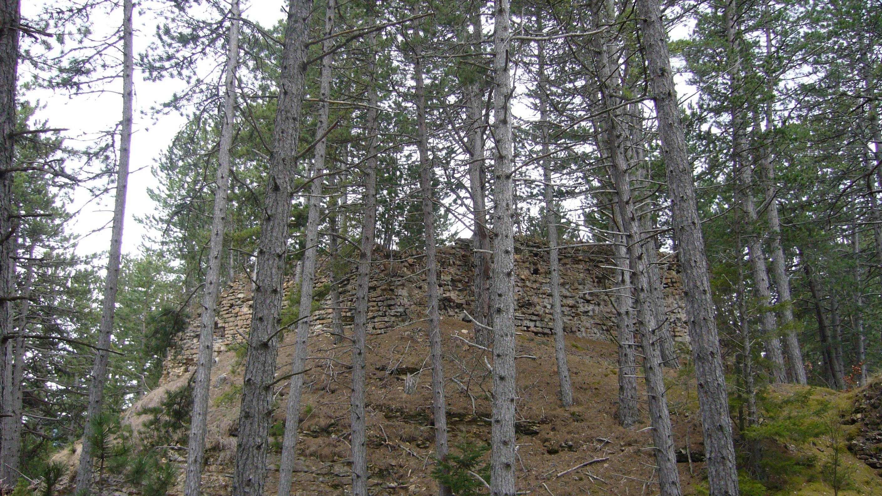 Photo de Château de Chapieu