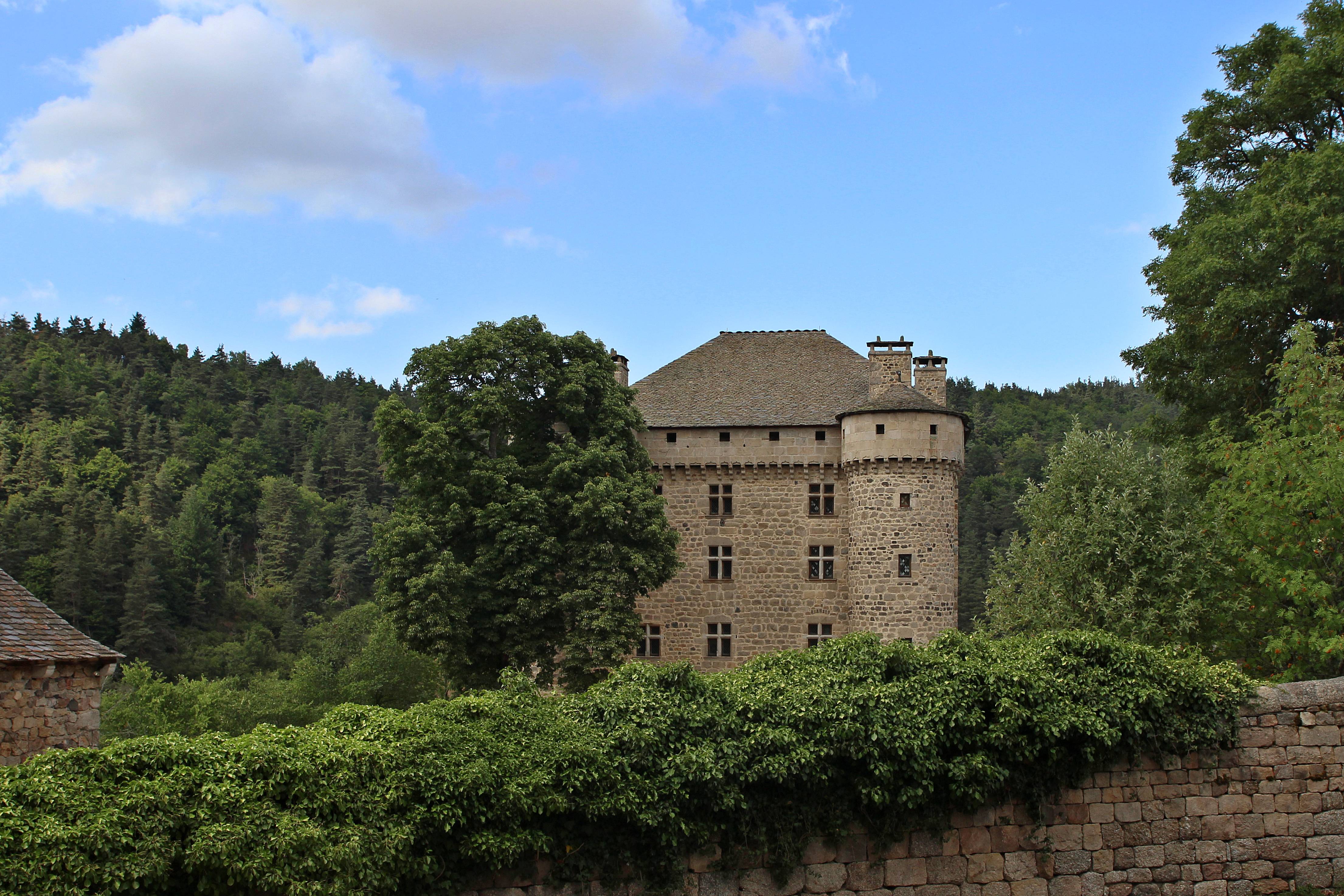Photo de Château du Fort