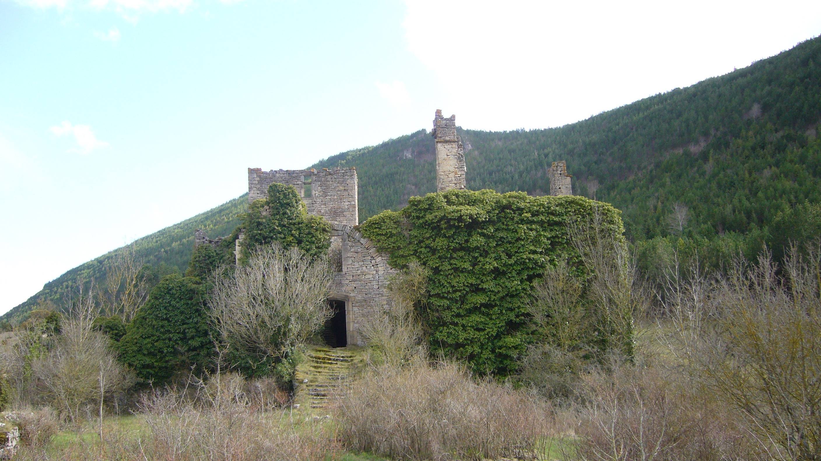 Photo de Château de Montialoux