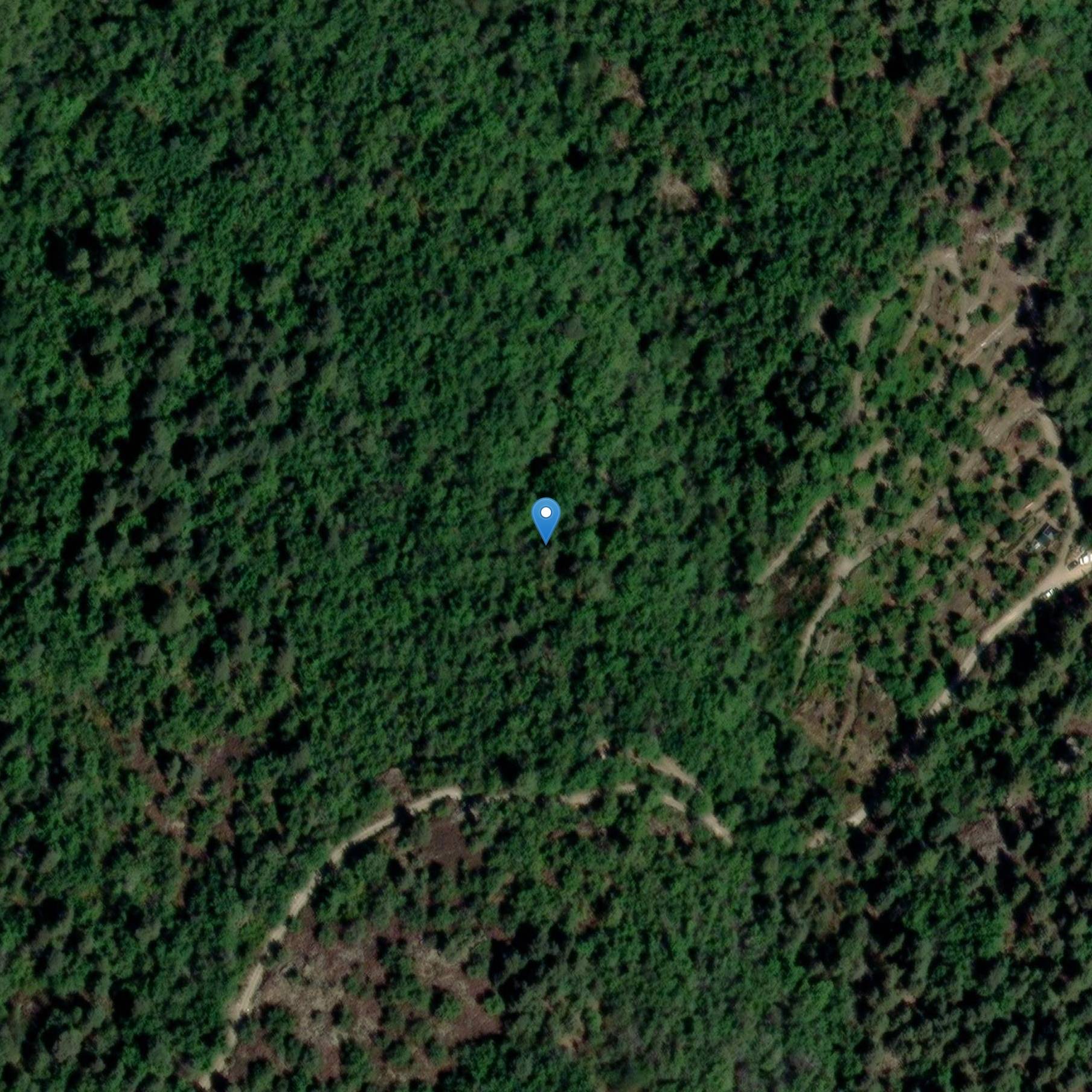 Photo de Château du Solier