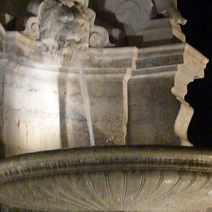 Photo de Fontaine de la place du Maréchal-Lyautey à Lyon