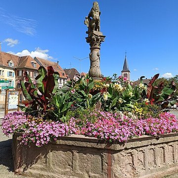 Fontaine de Munster