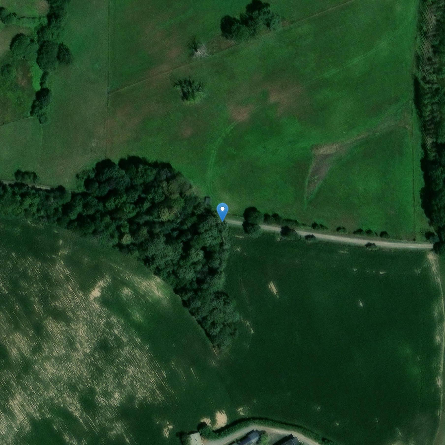 Photo de 蒙特格纳