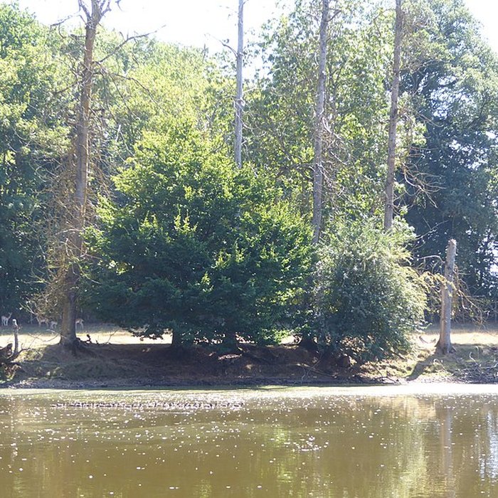 Photo de Château de Villebon