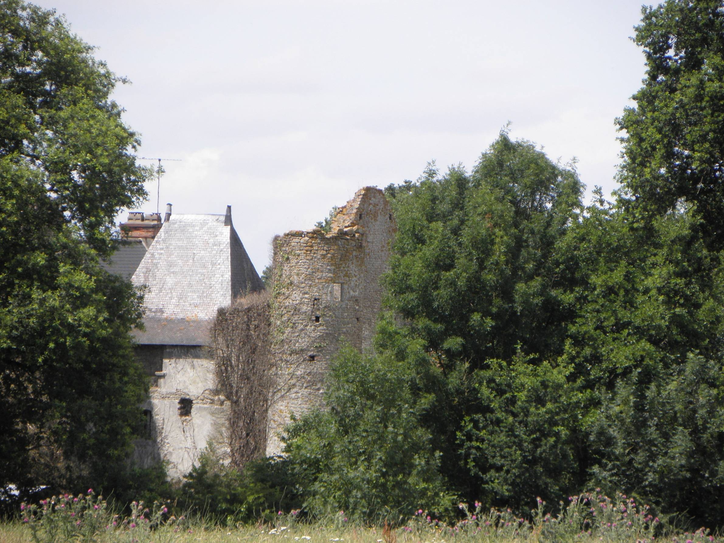 Photo de Château de la Béchère