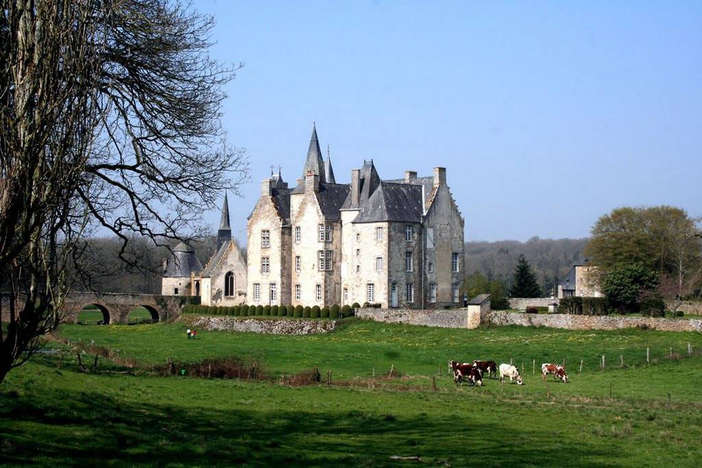 Photo de Château de Bourgon