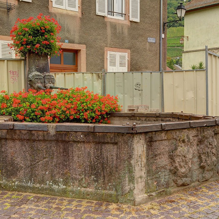 Photo de Fontaine des Vignerons de Thann