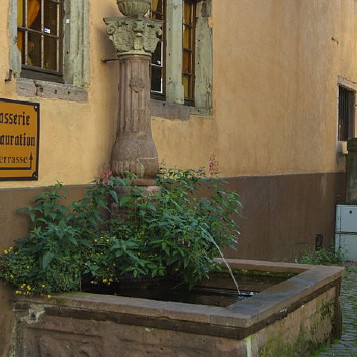 Photo de Fontaine du Cerf de Ribeauvillé
