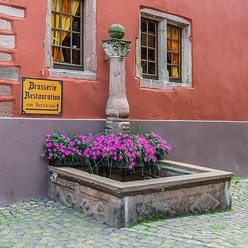 Fontaine du Cerf de Ribeauvillé