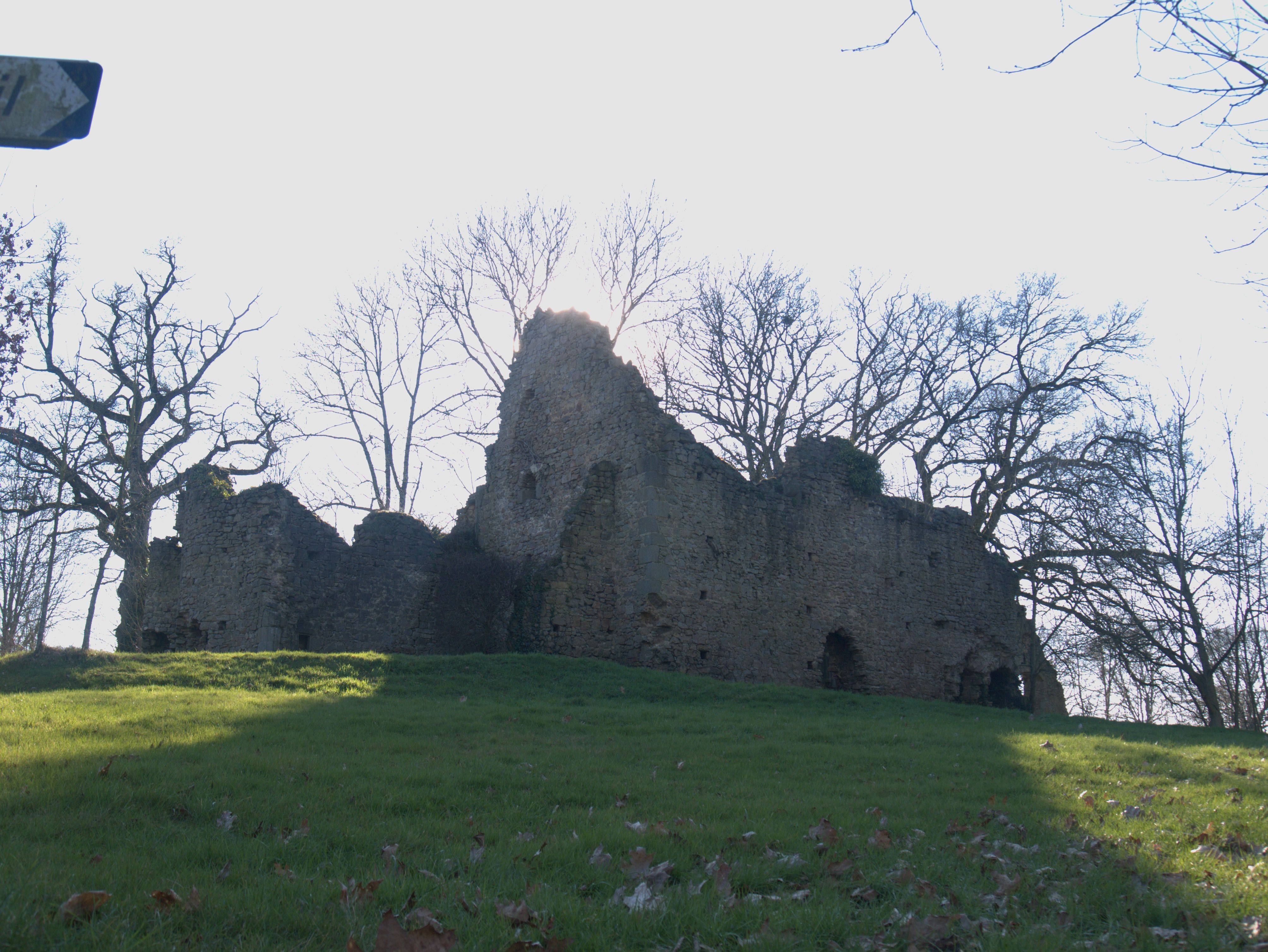 Photo de Chellé Castle