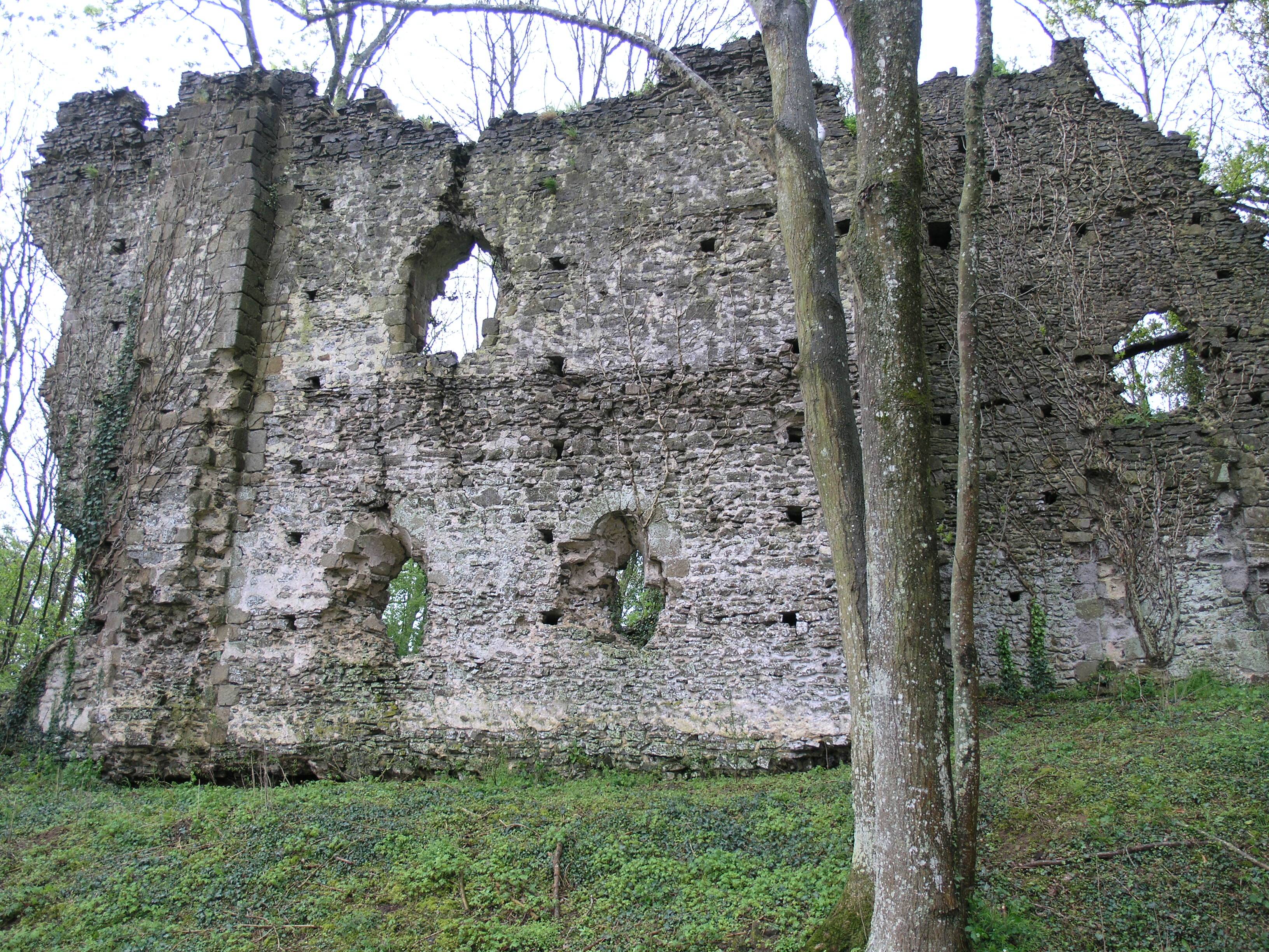Photo de Château de Courtaliéru