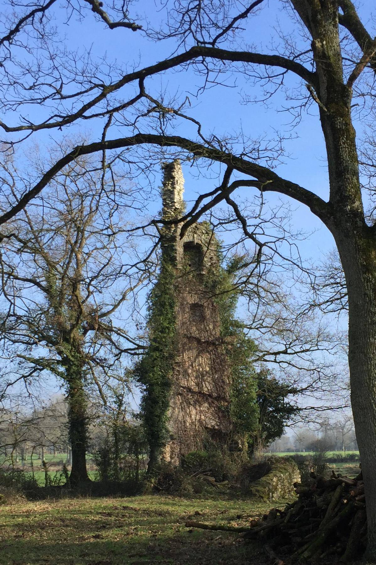 Photo de 埃斯科塔伊教会