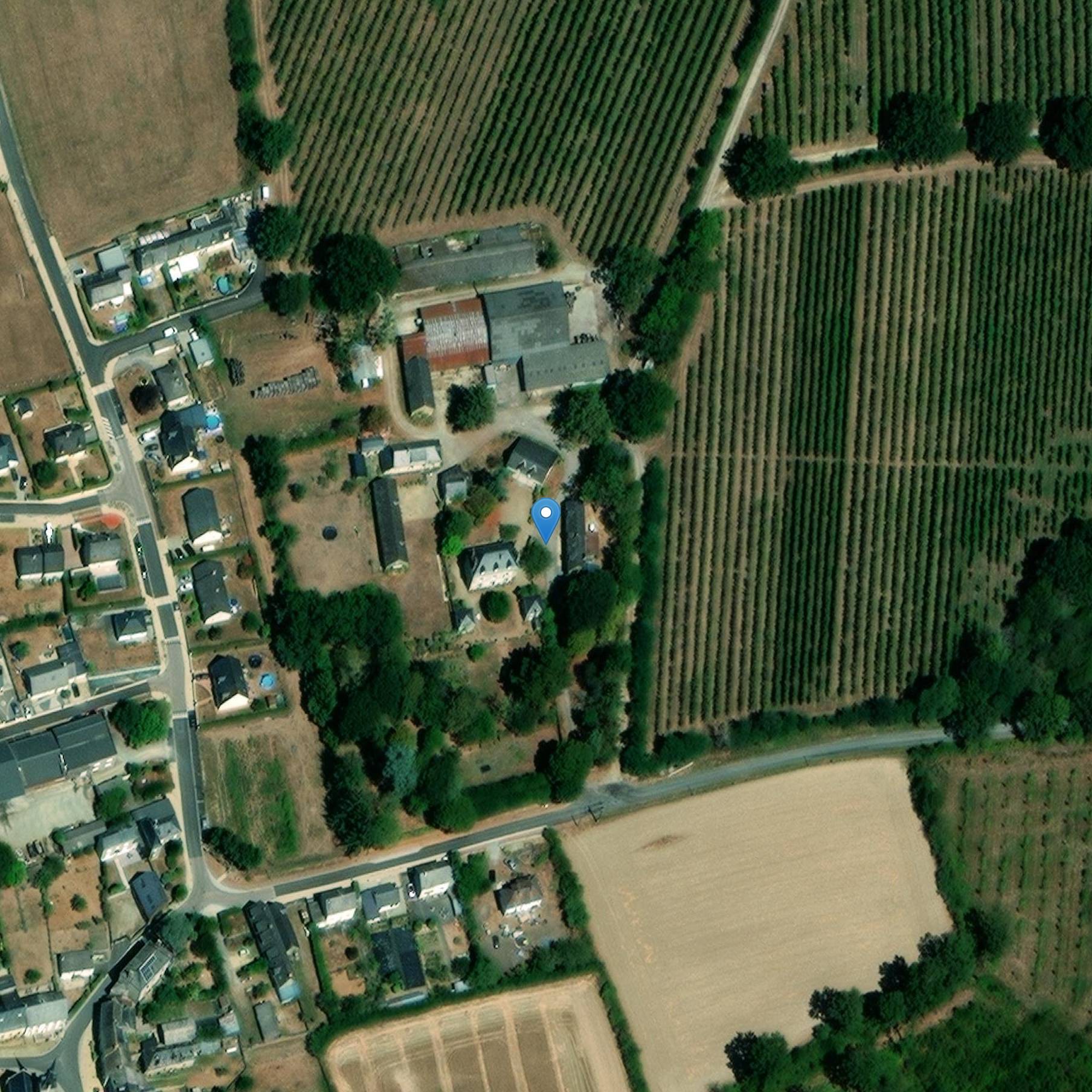 Photo de Château de la Ménardière