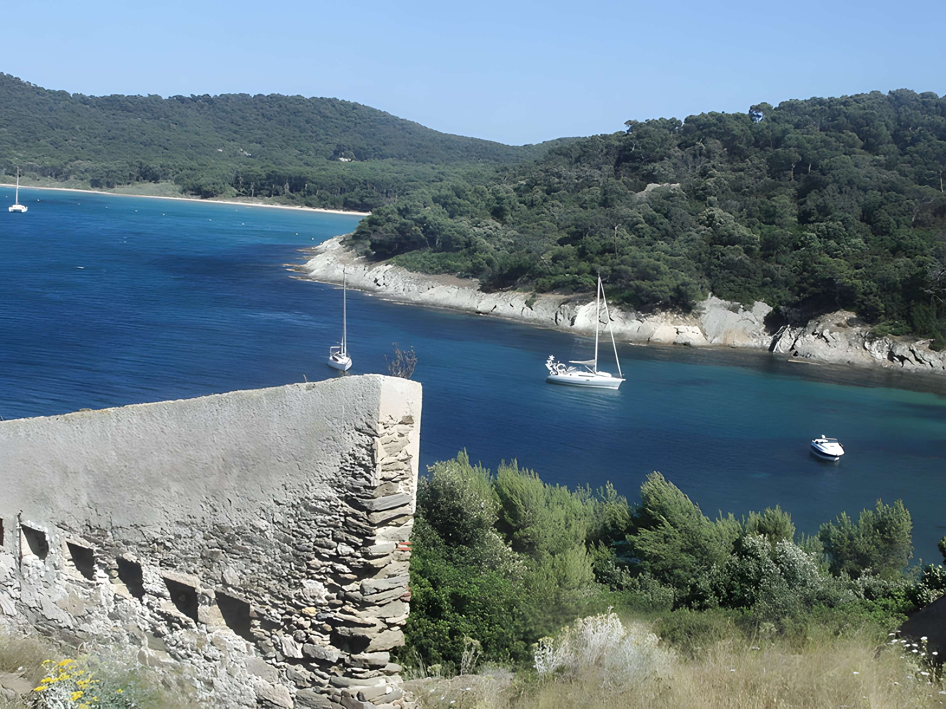 Fortin de l'Alicastre