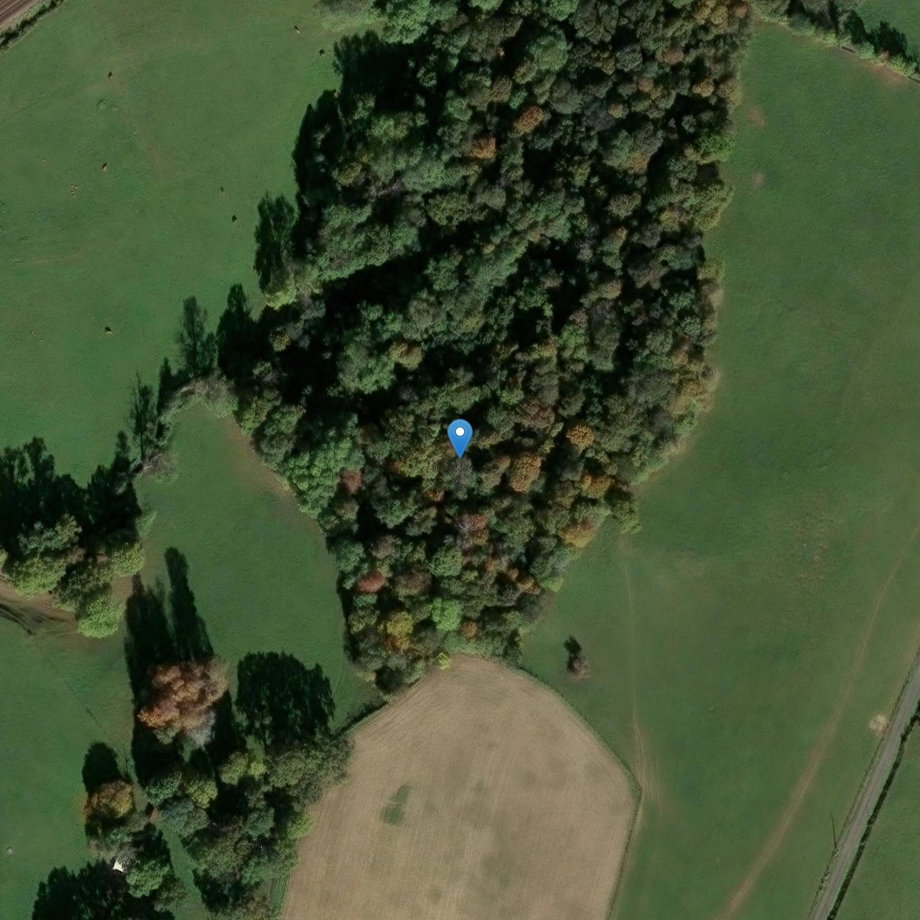 Photo de Château du Ronceray