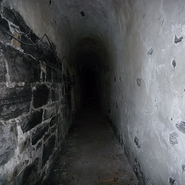 Photo de Fort du Mûrier