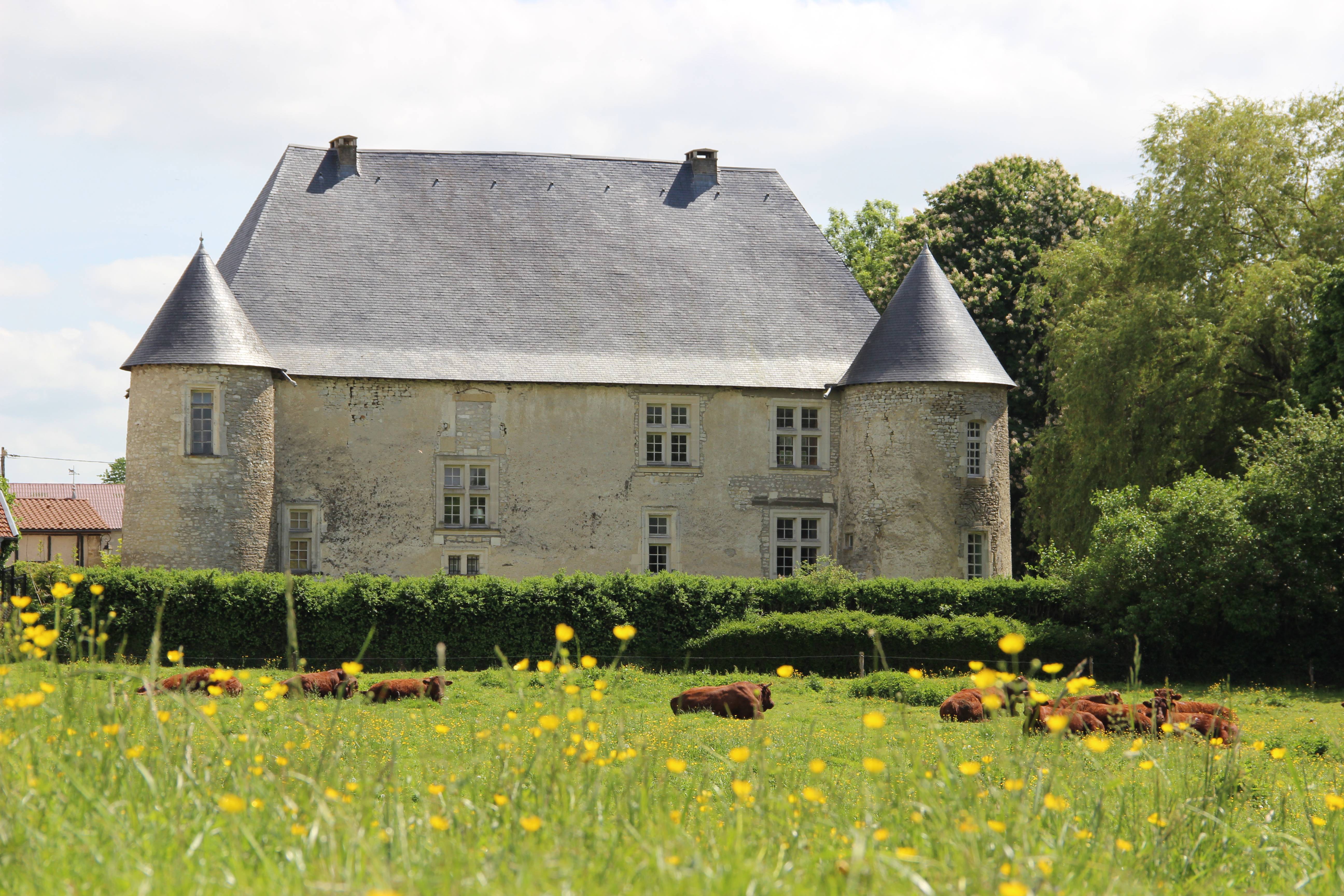Photo de Château de Neuville-en-Verdunois