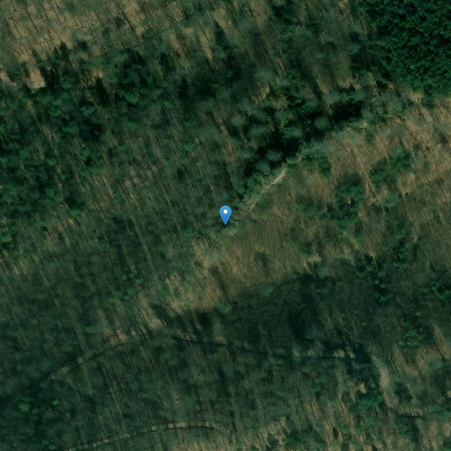 Photo de Castillo de Bellerstein