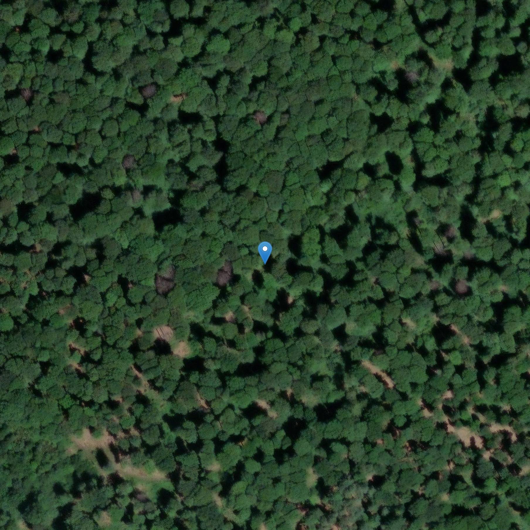 Photo de Castillo Bitche-le-Vieux