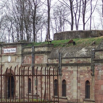 Fort Rapp de Reichstett