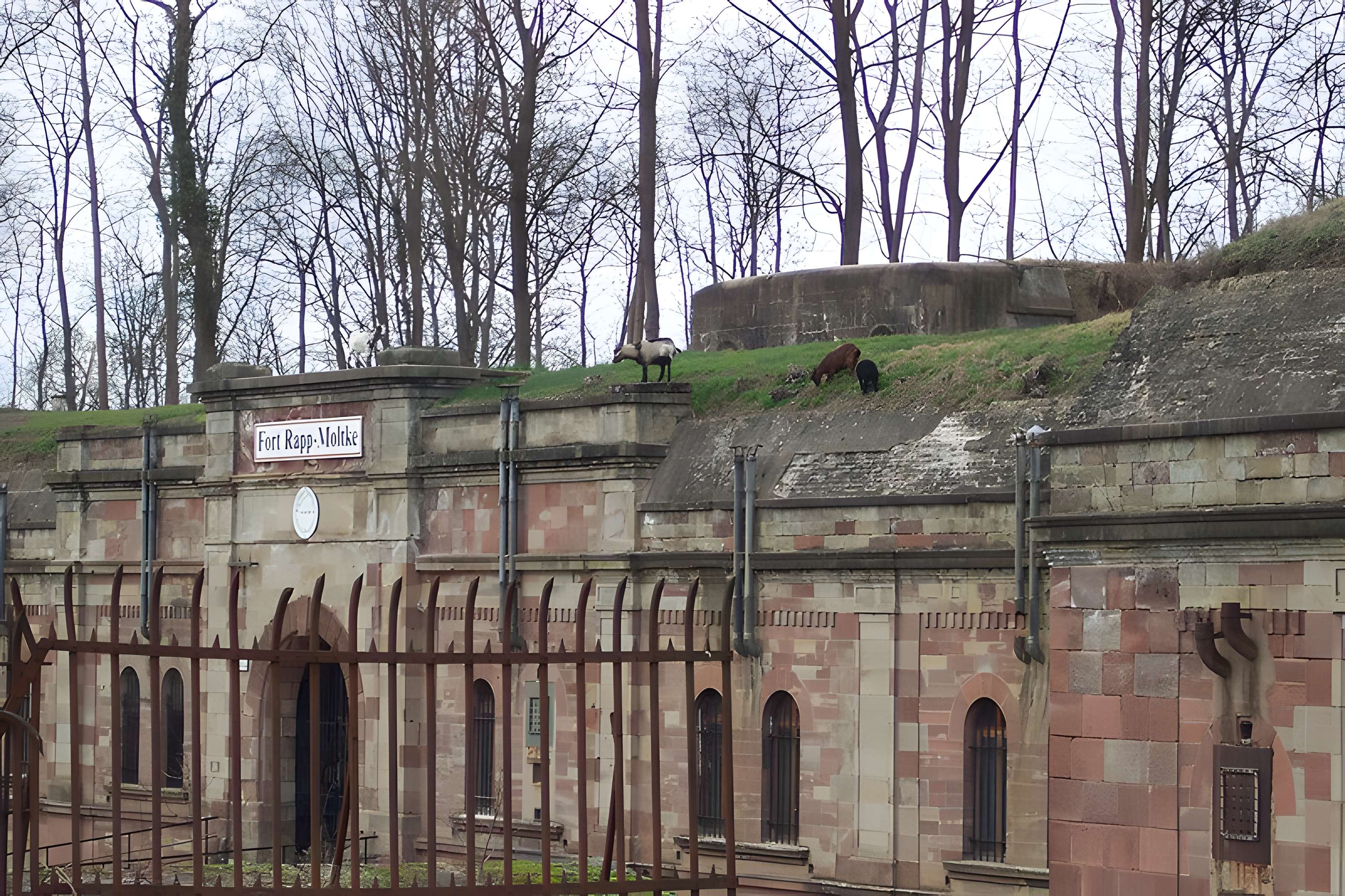 Fort Rapp de Reichstett