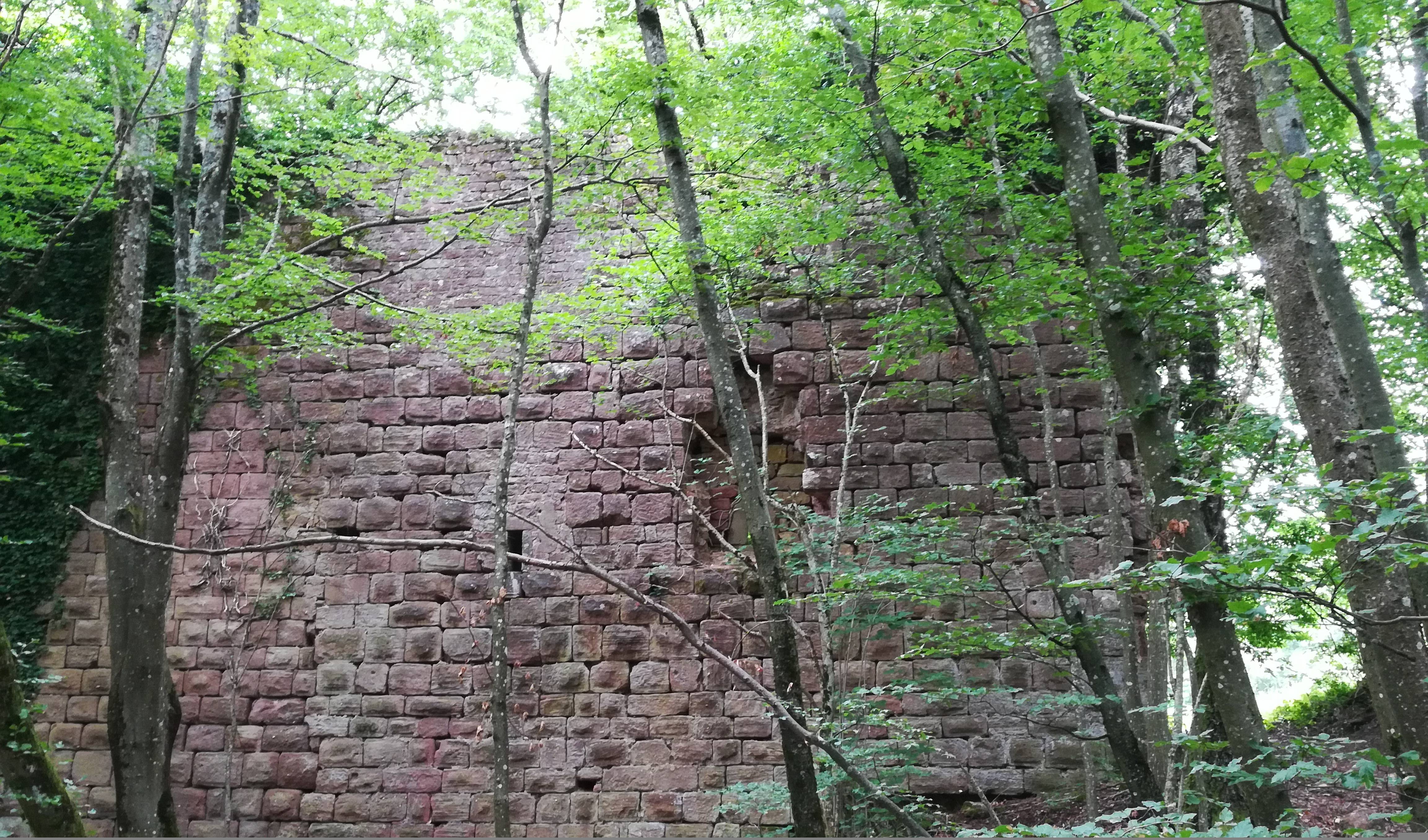 Photo de Château de Turquestein