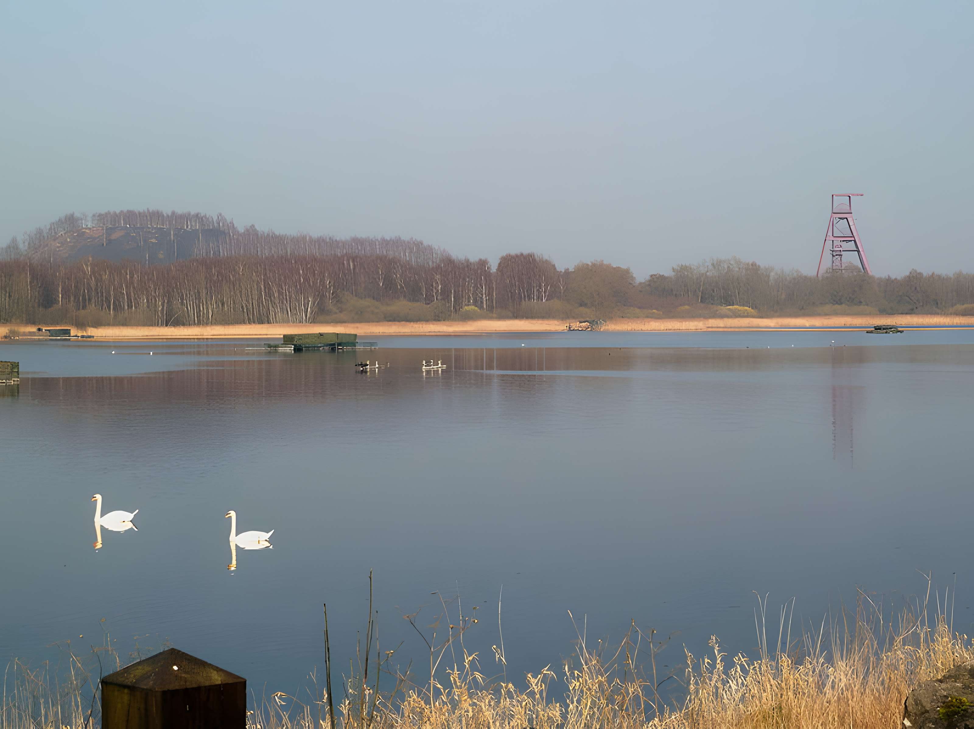 Fosse Ledoux de Condé-sur-l'Escaut