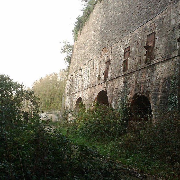 Photo de Fours à chaux de la Roque-Genêts à Cavigny