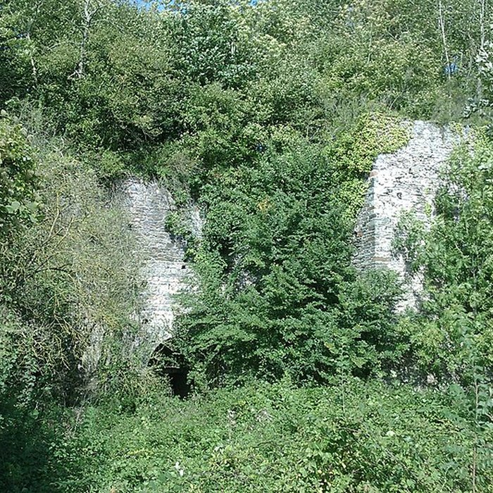 Photo de Fours à chaux de la Roque-Genêts à Cavigny