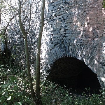 Fours à chaux de la Roque-Genêts à Cavigny