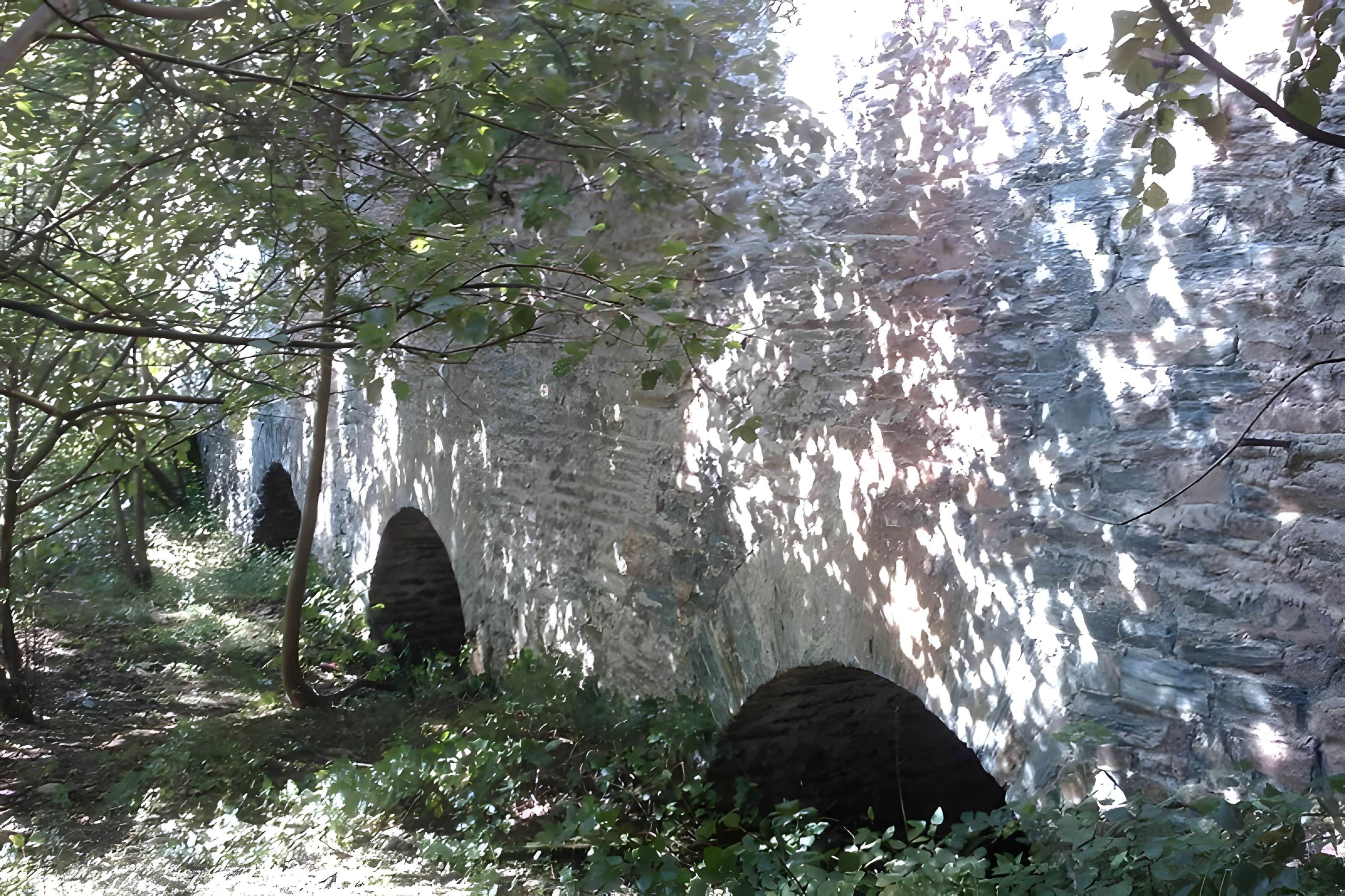 Fours à chaux de la Roque-Genêts à Cavigny 