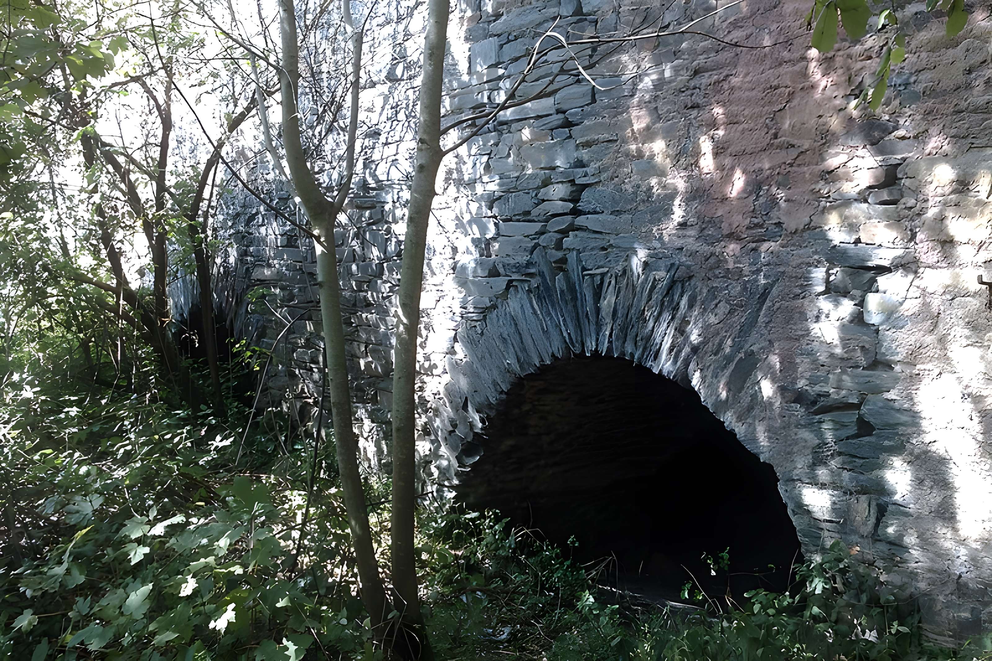 Fours à chaux de la Roque-Genêts à Cavigny
