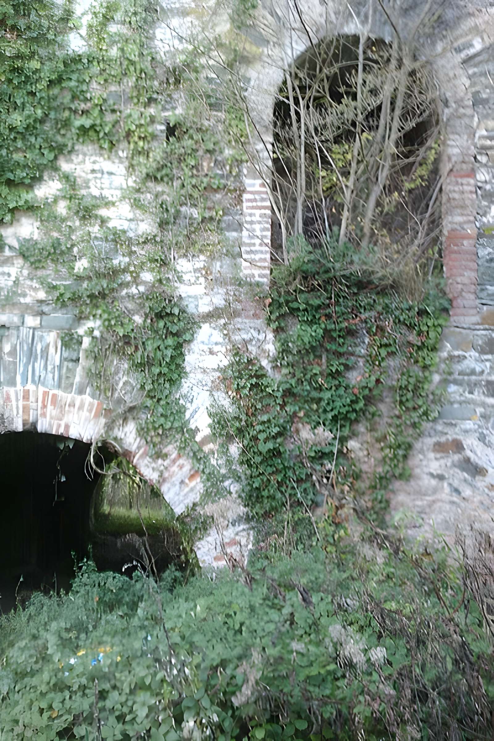 Fours à chaux de la Roque-Genêts à Cavigny