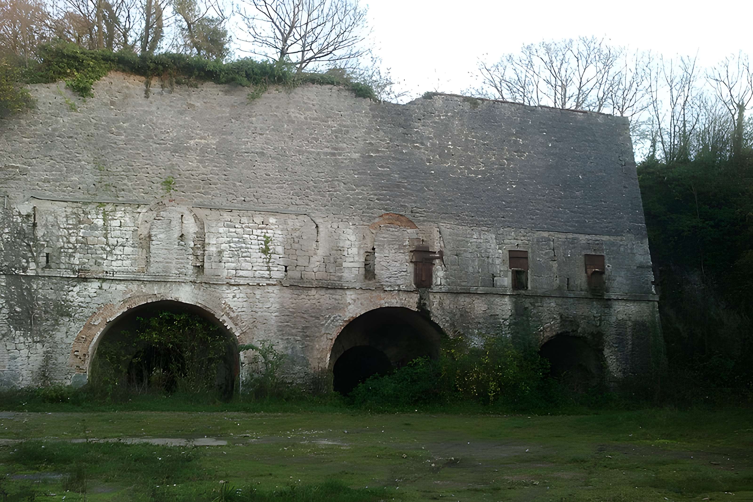 Fours à chaux de la Roque-Genêts à Cavigny