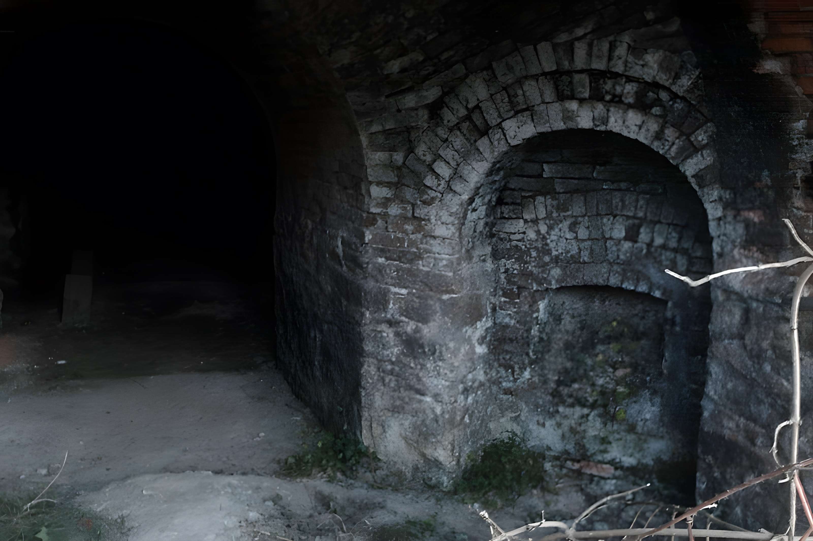 Fours à chaux de la Roque-Genêts à Cavigny