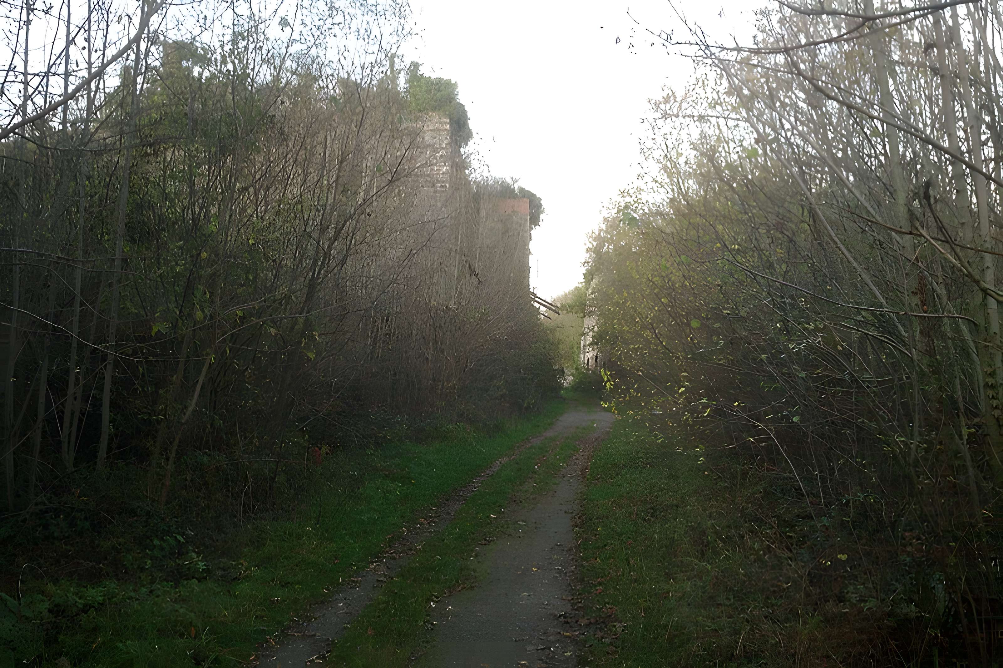 Fours à chaux de la Roque-Genêts à Cavigny