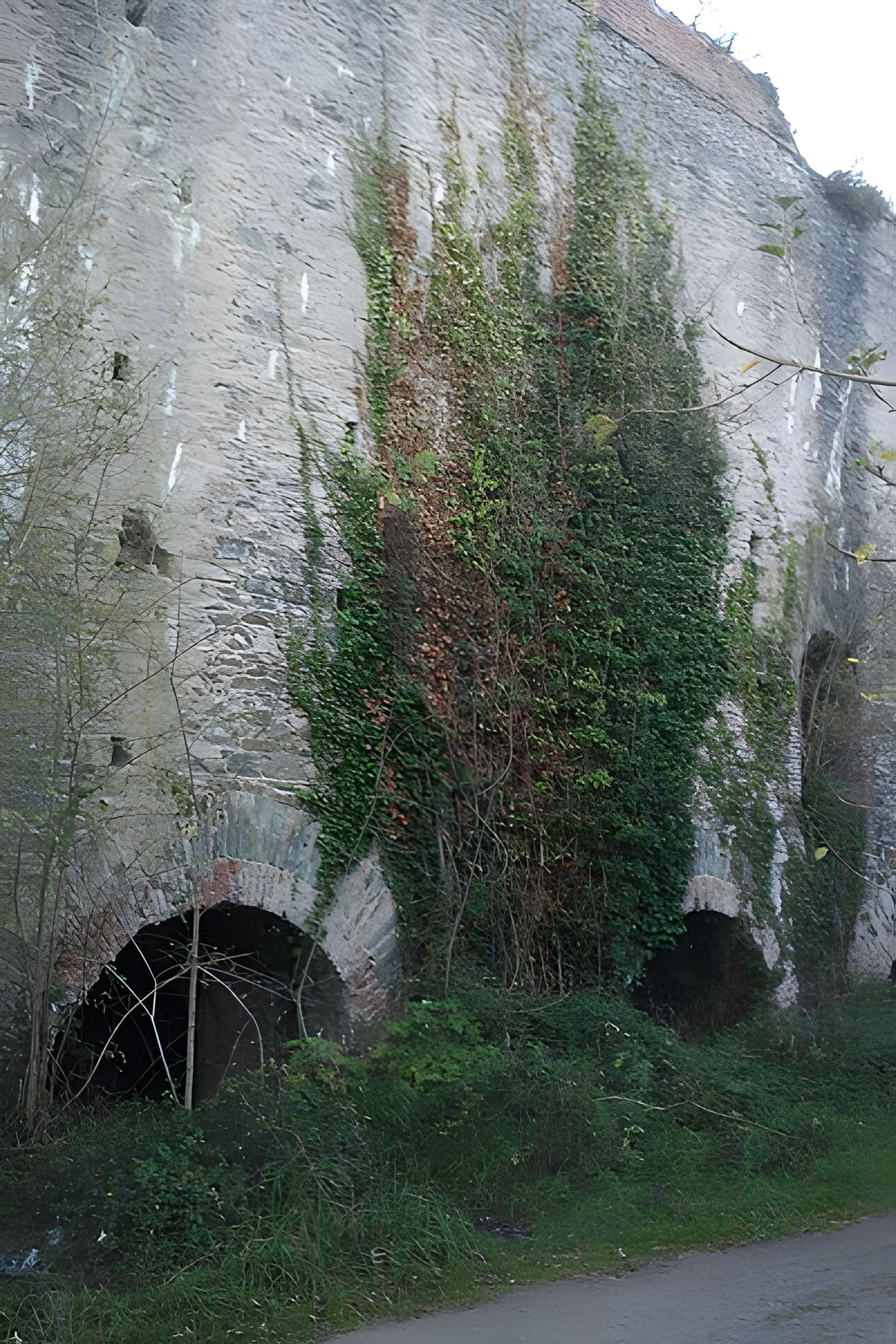 Fours à chaux de la Roque-Genêts à Cavigny
