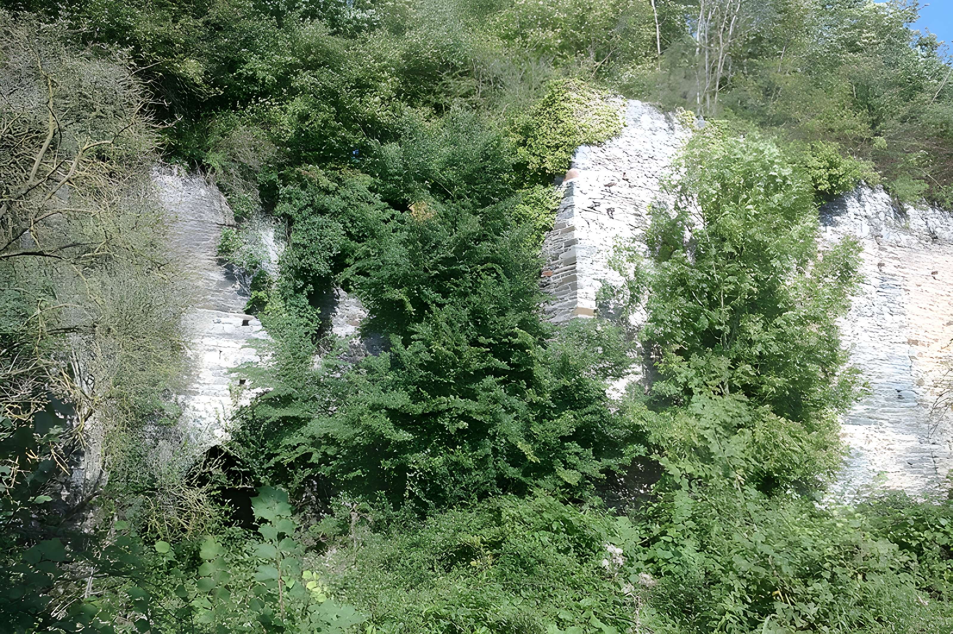 Fours à chaux de la Roque-Genêts à Cavigny
