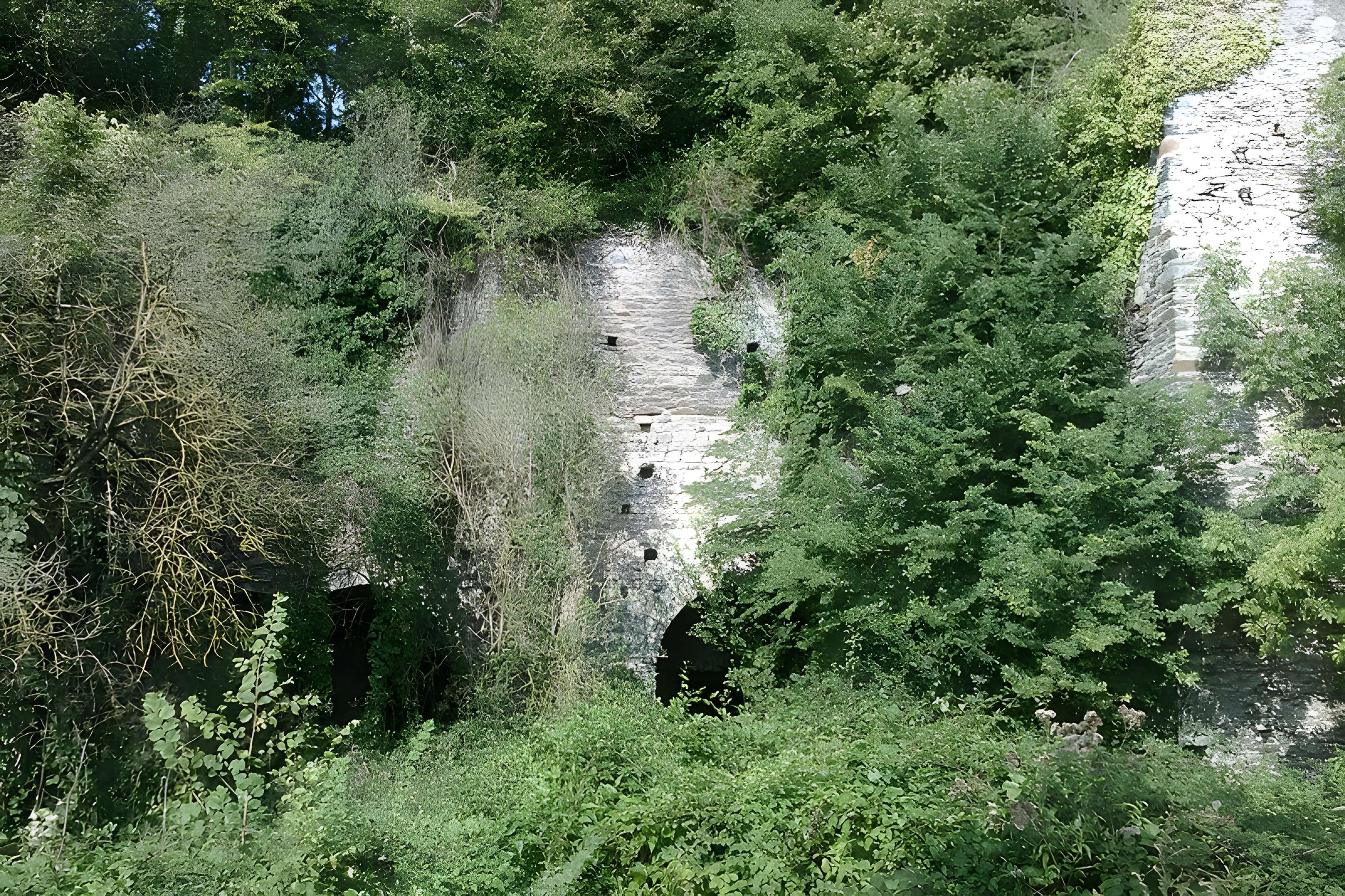 Fours à chaux de la Roque-Genêts à Cavigny
