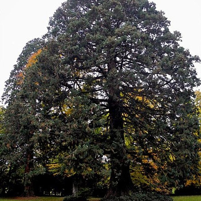Photo de Foyer de Charité dOttrott