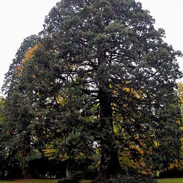 Foyer de Charité dOttrott
