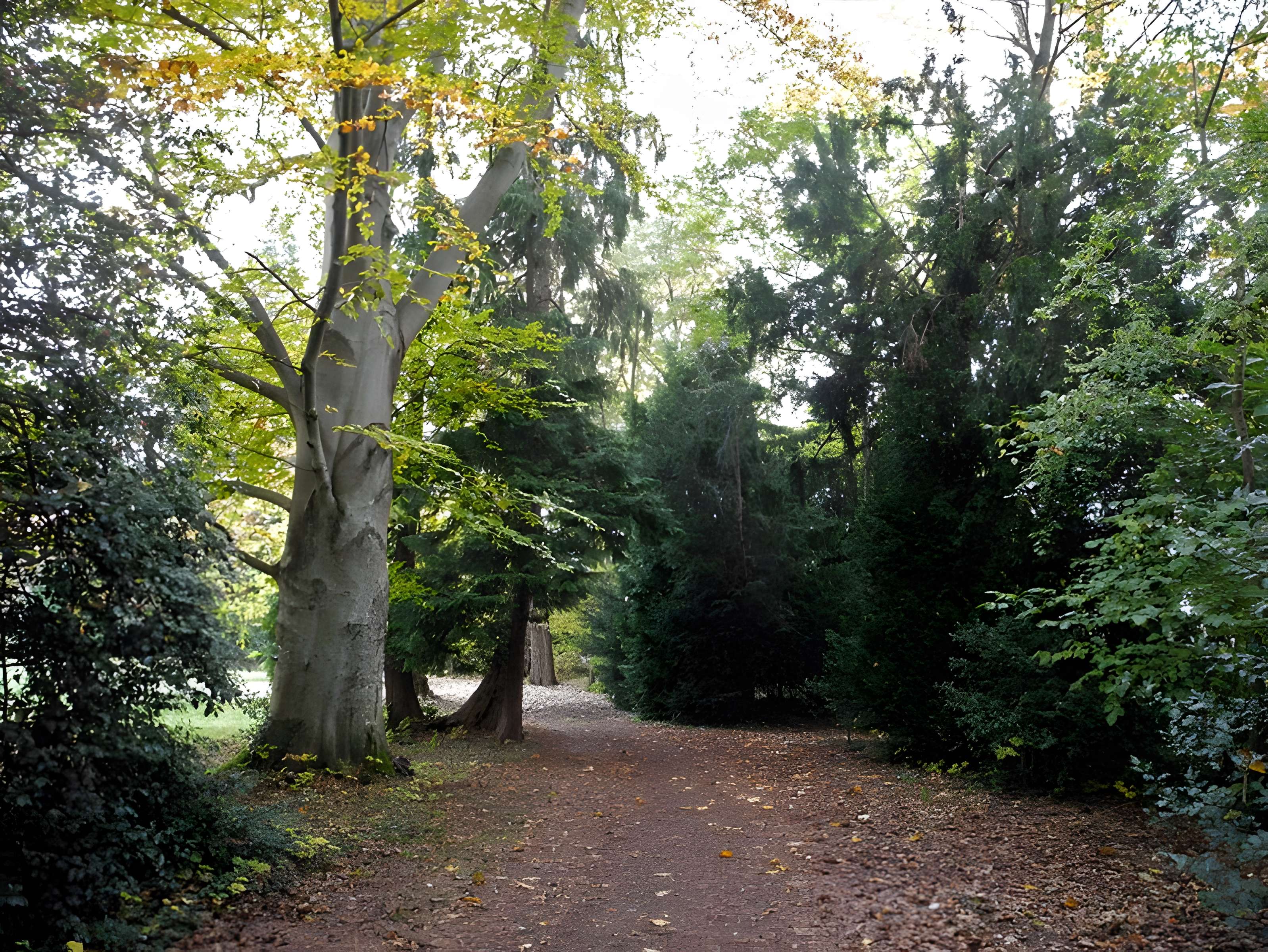 Foyer de Charité d'Ottrott